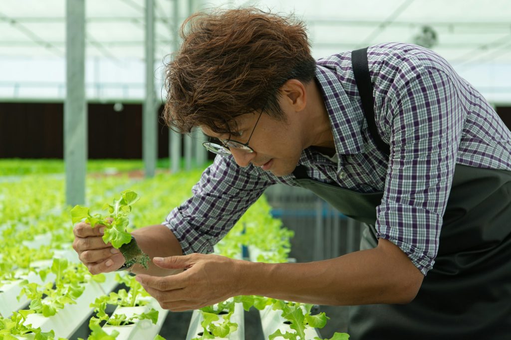 A new generation of asian young men with organic vegetable business